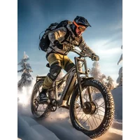 AliExpress Shengmilo S600 Adult 2000W Electric-bicycle Men's E-Mountain ebike with Two Motor, 48V840WH Battery,26