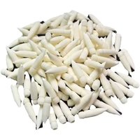 20/40PCS Soft Markers Pens Replacement Cores Durable Nylon Pigment Markers Dual Tips General Painting Tool for GuangNa