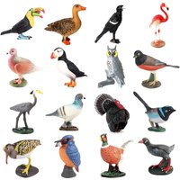 Bird Figures Seahawks Stork Eagle Toucan Flamingo Turkey Owl Vulture Peacock Action Figure Forest Animal Figurines for Kids Toys