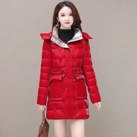 2025 Autumn Winter Parkas Women's Down Cotton-Padded Coat Overcoat Long Korean Hooded Warm Windproof Puffer Jacket