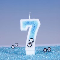 Cute Penguin Birthday Candles 3D Antarctic Glacier 0-9 Number Nice Party Wedding Cakes Decorations