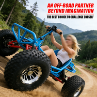 High Power Adult Drift Kart 36V Brushless Motor Go Kart Strong Power Fast Speed Professional Outdoor Racing Cart