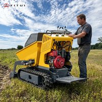 2026 Mini Dumper Self-Propelled Hydraulic Lifting Small Dump Truck All Terrain Cargo Moving Customized