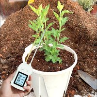 Digital LCD Meter 3-in-1 Soil Tester with Heat-resistant Metal Sensor for pH Moisture Temperature Monitoring for Flower Gardenin