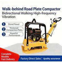 Handheld-Plattenverdichter für die Baustelle, leistungsstarker Motorkern zum Straßenpflaster, Grundierung, Stampfen, Gehwegverdichtung