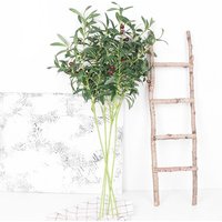 With Olive Fruit Large Artificial Olive Branch Handmade Elegant Artificial Olive Leaf Plastic 95-110cm Fake Olive Tree Branches