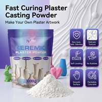1 kg/2 kg Resin Casting Powder, High-Density White Plaster Powder, Handcrafted Pottery Clay, DIY Plaster Clay, Craft Supplies