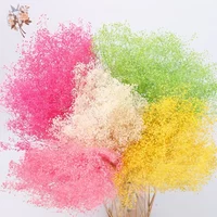 Natural Dried Flower Million Babybreath Bouquet Wedding Decoration Dry Eternell Mini Gypsophila Home Valentine's Day Arrangement