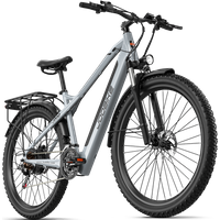 AliExpress JOOBIKE JOO2 Electric Bicycle Adult ebike 1000W Men's E-Mountain ebike 48V16AHBattery,29 Inch Wide Tyre Men's Electric Bike