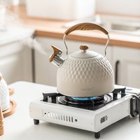Bouilloire avec sifflet à fond plat 2,5 l, casserole européenne en acier inoxydable de grande capacité, chaudière à eau classique pour toutes les cuisinières