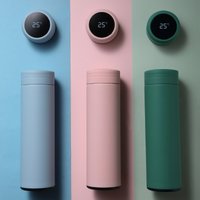 Bouteille d'eau intelligente de 500ml, Thermos en acier inoxydable, affichage de la température, flacons sous vide étanches, tasse à café, tasse à lait, cadeau de noël