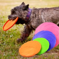 Pet Toy Durable TPR Soft Rubber Dog Toys Flying Disc Fashion Multicolor Resistant Chew Toys Puppy Outdoor Game