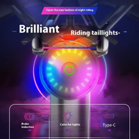 AliExpress NONE Waterproof Colorful Cycling Taillight Type-C Fast Charging Road Bicycle Rear Light Portable MTB Warning Light Bike Accessories