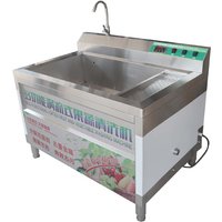 Stainless Steel Fruit Vegetable Washing Machine Commercial Large-Scale Ozone Disinfection Eddy Current Vegetable Washing Machin