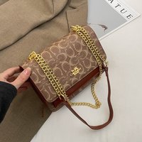 2026 New Women's Fashionable Printed Chain Handbag, Retro Versatile Small Square Bag, Suitable for Women's Everyday Wear, Should