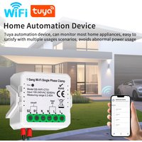 Tuya WiFi Smart Energy Meter 1CH 2CH 80A Current Transformer Clamp for Solar PV System Power Production Consumption Monitori