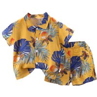 New Summer Baby Clothes Suit Children Boys Sports Shirt Shorts 2Pcs/Sets Kids Casual Outfits Toddler Costume Infant Tracksuits