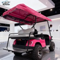 Latest Style Multifunction 60V 72V Lead-Acid Battery And Lithium Battery Optional Powered Golf Trolley Electric Golf Cart