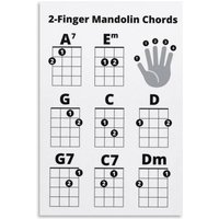Y1,2 Finger Beginner Mandolin Chords Sheet Poster Great for Beginners Easy Mando Chords, Newbs Metal Tin Sign W