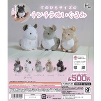 Hotline capsule toys cute Tenohira size Chinchilla plush soft stuffed palm-sized Guinea pig rodents ball chain pendant figures