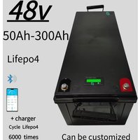 48v 100AH lifepo4 battery with BMS for tricycle golf cart inverter Solar energy storage scooter + 10A charger