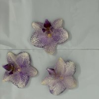 3pcs Dried Flower Resin-Dipped Phalaenopsis DIY Earrings Necklace Orchid Head Decorations for Wedding Corsage Accessories