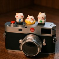 Kawaii Cat Resin Camera Hot Shoe Cover Cute Cartoon Universal Cap Protective Decor for Canon Nikon Sony DSLR Camera