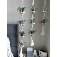 Macrame Plant Hangers Air Plants Hanging Basket Wall Hanging Handcrafted Air Plants Hanger Boho Home Decoration Room Decor Gift