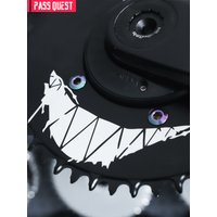 AliExpress PASS QUEST 110BCD (4 bolt) Chessboard and Devil Smiley Face Custom Narrow Wide Chainwheel