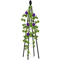 Garden Climbing Vines Flowers Stands Trellis Plant Support Climbing Plants Lattice Rose Plant Balcony Climbing Bracket For Plant
