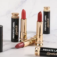6-color Custom Bulk Solid Lipstick Private Label 3.5g Waterproof Matte Black Golden Tube Pigment Non-stick Nude Nuance Makeup