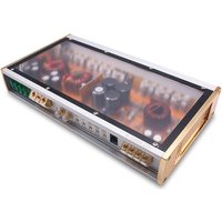 1600W Single Channel Car Amplifier Mono Class D Power Amplifier for Car Audio Modification