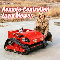 Customized Tracked Diesel Lawn Mower Remote Control CE EPA Approved Thick Blades GPS Navigation Durable Grass