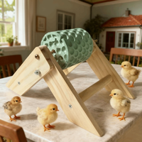 Anti-Slip Chicken Beak Grinding Stone Bite Resistant Sturdy Wooden Bird Stand Wear Resistant Chicken Training Perch Farm