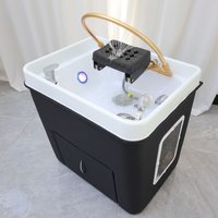 Portable Heated Water Therapy Basin for Head Spa Thai Massage Shampoo Sink and Fumigation