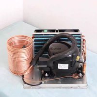 Cooling Capacity 52W-R600a 220V Small Chiller Unit 220V Refrigeration Cycle Water Micro Refrigeration Compressor
