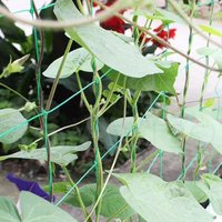 9Strands Garden Plant Climbing Net For Flowers Tomato Vegetable Reusable Vertical Support Trellis Netting Plant Support Shed Net