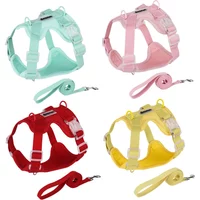 Colorful Lightweight Dog Harness for Small Breeds -Dopamine Style Breathable No-Pull Pet Vest with Leash Comfortable Outdoor Use