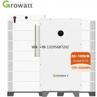 Sunshine All in One BESS Energy Storage System with Growatt WIT 100K-HU 3Phase Hybrid Inverter and Battery Solar Energy System