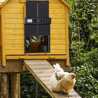 Automatic Large Poultry Coop Door with LCD Timer Screen 3 AA Battery Battery Not Included Easy Install