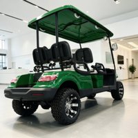 Strong Power 4KW Electric Golf Cart Factory Price Shooting Hunting Vehicle With Upholstered Seat Off Road Tire Free Custom Color