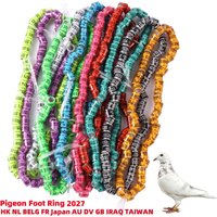 Inner Diameter 8mm Aluminium Pigeon Training Identification Foot Ring Multi-colors Ring 2027 Country Name Random Number 50Pcs