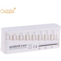 Dentaler autoklavierbarer Endo-Block-Ständer mit Lineal, Zahnarztinstrument, Messblock, Feilenhalter