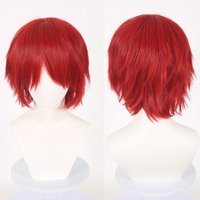 New Universal Synthetic Colorful Short Natural Cosplay Wigs Men Hair Party Hairstyle Hair Extensions