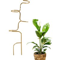 Metal Plant Stakes Monstera Stem Support Garden Stake Rose Fix Holder for Indoor Outdoor Flower Home Gardener Landscapers