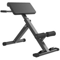 Foldable Adjustable Roman Chair Hyperextension Bench, Multi-Functional Preacher Curl & Back Extension Machine for Home Gym, Leg