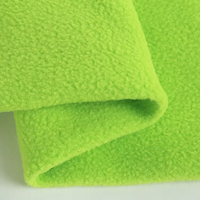 Plush Fabric Polar Fleece Cloth Polyester Autumn Winter Small Roll Teddy Cashmere DIY Clothing Handmade Sewing Quilting