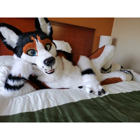Black Furry Costume Fursuit Brown White Long Fur Wolf Husky Dog Fox Mascot Costume Cosplay Party Halloween Suit Adult Size