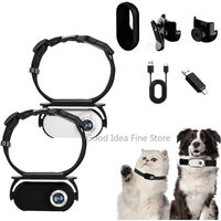 Pet Collar Camera Outdoor No WiFi Needed Cat Collar Action Camera 170 Lens Video Recording Camera Dog Wide Mini