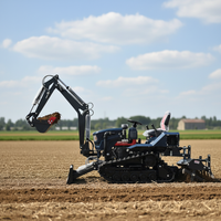 Customize 35HP Diesel Tracked Tractor 4WD Heavy Duty Farming Tractor For Orchard & Paddy Field